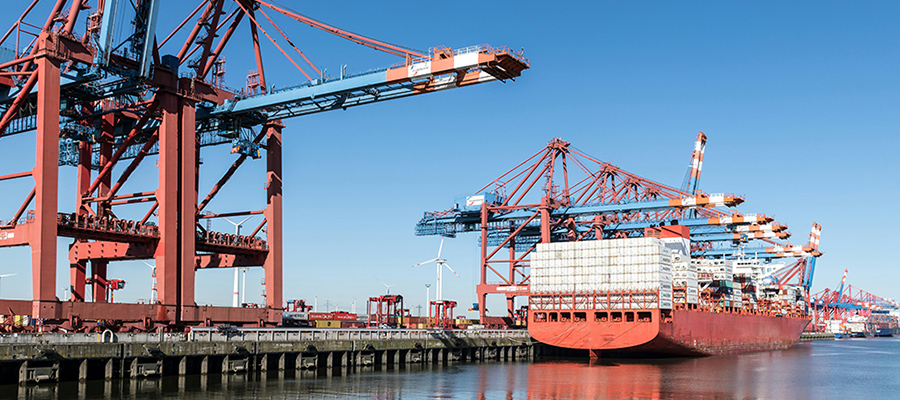 1723623323538102.jpg 1723623323538102.jpg