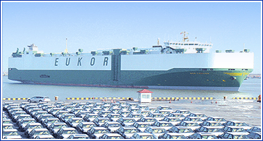 1723794425849974.jpg 2-3.jpg