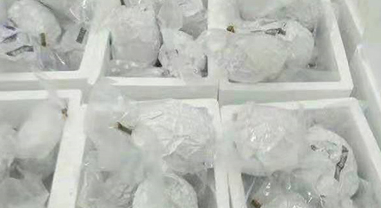 1725262078351913.jpg 6-2.jpg