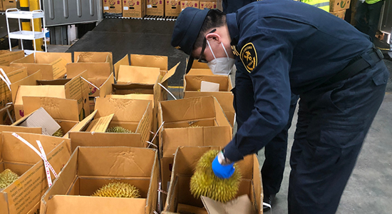 1725262199942814.jpg 6-3.jpg