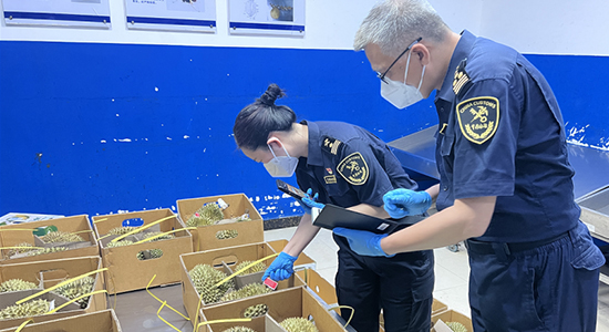 1725262222440305.jpg 6-4.jpg