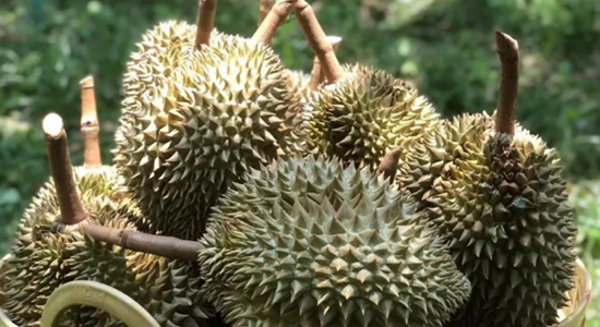 1725262232810824.jpg 6-5.jpg