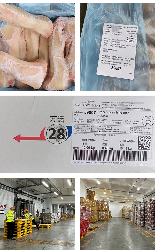 1725327808348571.jpg 8-4.jpg