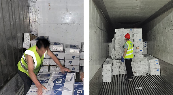 1725327955213123.jpg 8-5.jpg